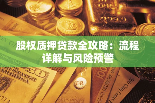 武汉股权质押贷款全攻略：流程详解与风险预警