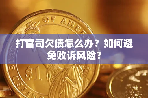 武汉打官司欠债怎么办？如何避免败诉风险？