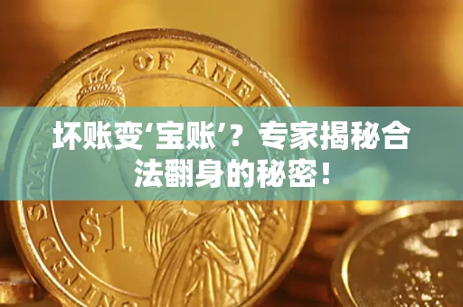 武汉坏账变‘宝账’？专家揭秘合法翻身的秘密！