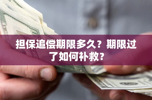 武汉担保追偿期限多久？期限过了如何补救？