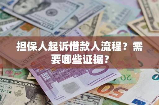 武汉担保人起诉借款人流程？需要哪些证据？