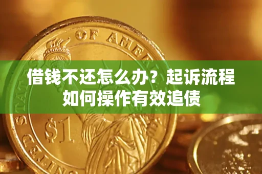 武汉借钱不还怎么办？起诉流程如何操作有效追债