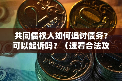 武汉共同债权人如何追讨债务？可以起诉吗？（速看合法攻略）