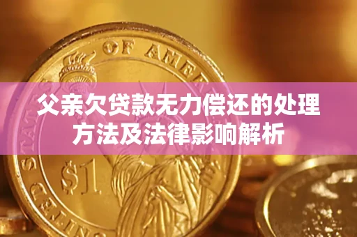 武汉父亲欠贷款无力偿还的处理方法及法律影响解析