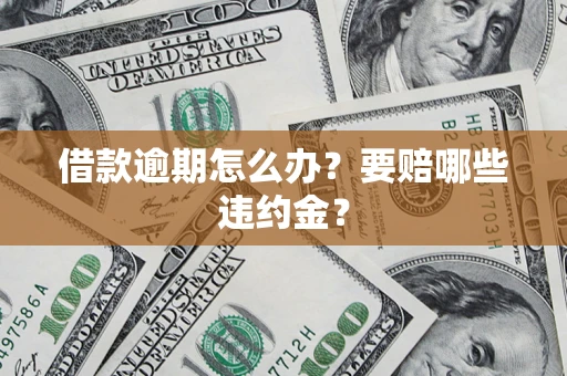 武汉借款逾期怎么办？要赔哪些违约金？