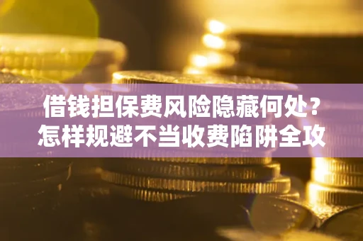 武汉借钱担保费风险隐藏何处？怎样规避不当收费陷阱全攻略！